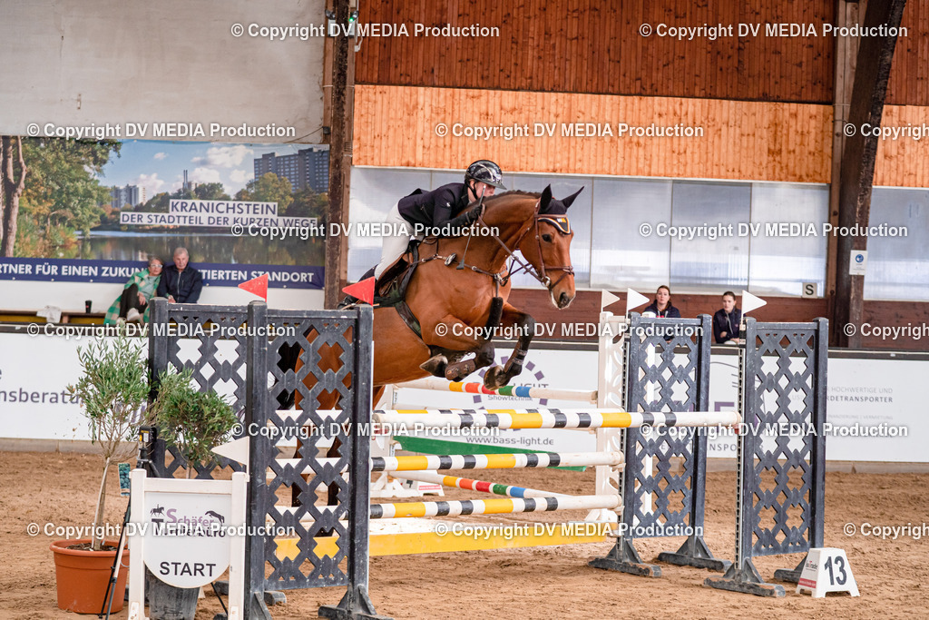 Kranichstein II Tag 3-413 | dv-media-shop - Realisiert mit Pictrs.com