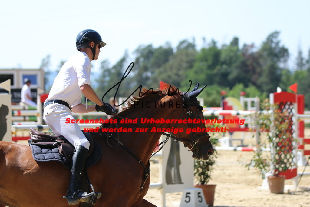 IMG_2950 | lmwpictures - Realisiert mit Pictrs.com