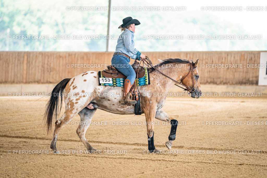 DSC03952 | Pferdegrafie