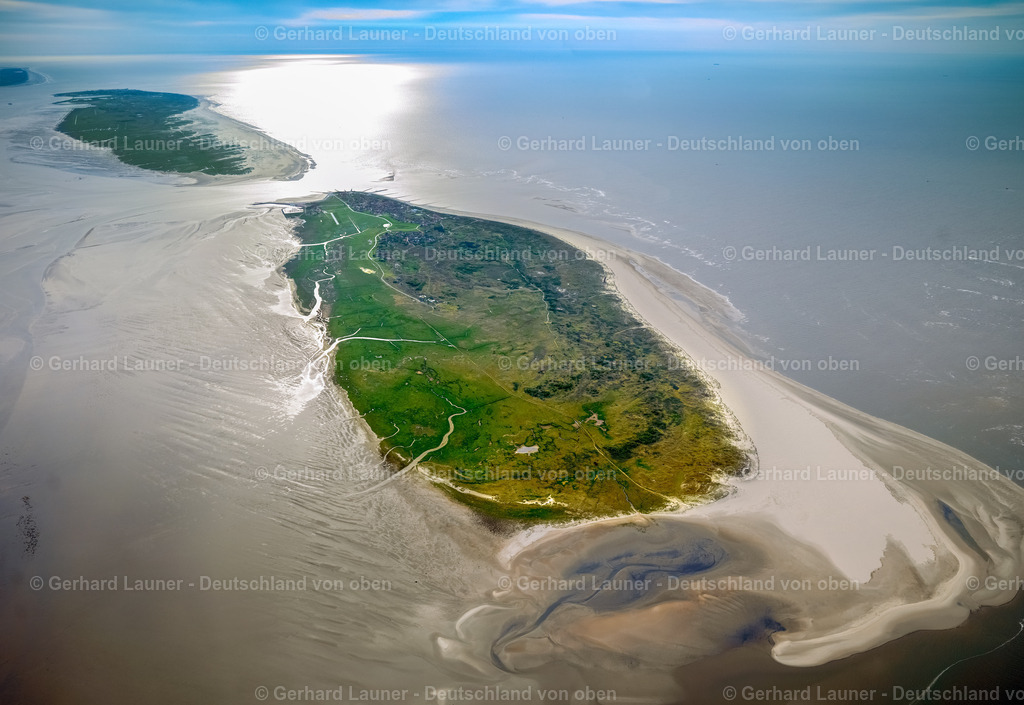 3091116 | Baltrum, Nationalpark Niedersächsisches Wattenmeer