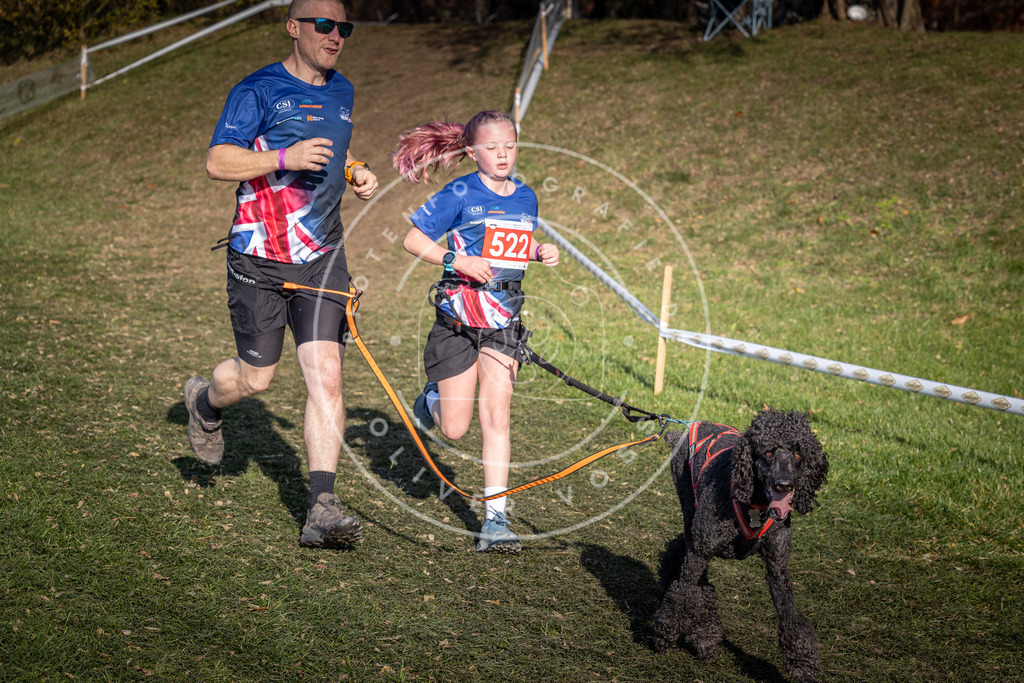 CaniXpix_0L8A8732 | Hundefotografie, Tierfotograf, Pfotenfotografie, Fotoshooting Hund, Hunde Portrait, Hundesport, Hundeportraits, Heideshooting, Hunde, Sportfotograf, Hundefotograf, Turnierhundsport, THS,  - Realisiert mit Pictrs.com
