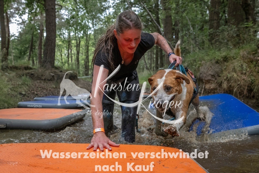 0847_ZZ99651T | kk-dogfotos
