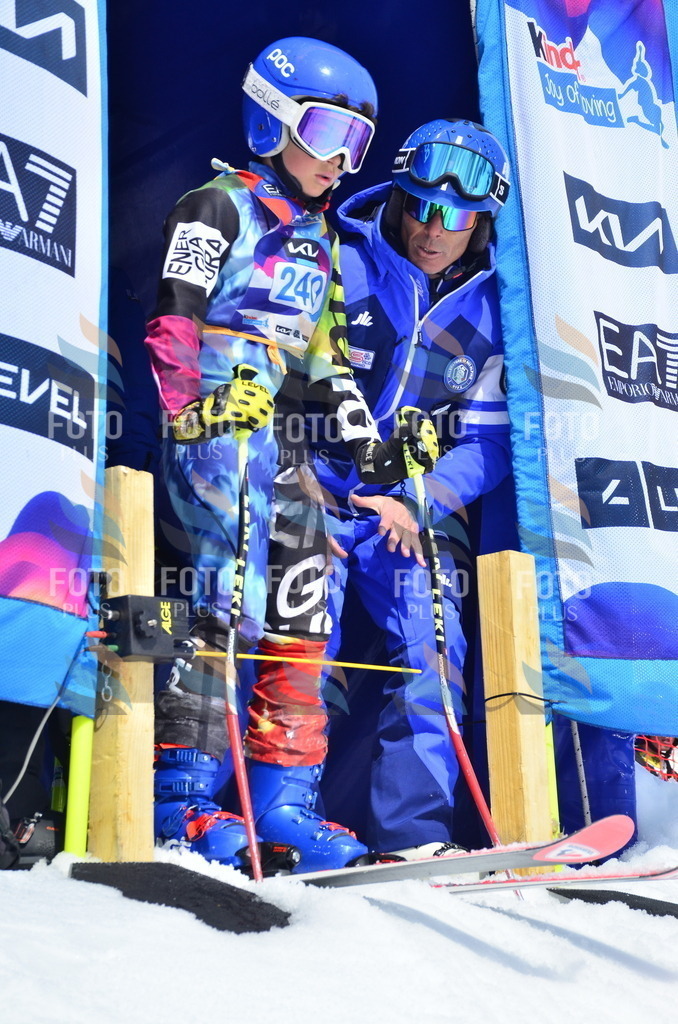 _ELE1729 | holidayphoto