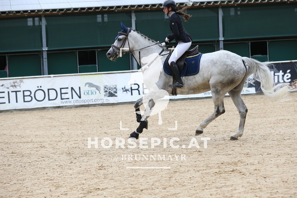 DL2Q5070 | Willkommen bei Brunnmayr - Design & Fotografie – Ihrem Spezialisten für Reitturniere und Pferdeveranstaltungen in Oberösterreich, Salzburg und Bayern! Seit über 17 Jahren sind wir leidenschaftlich dabei.