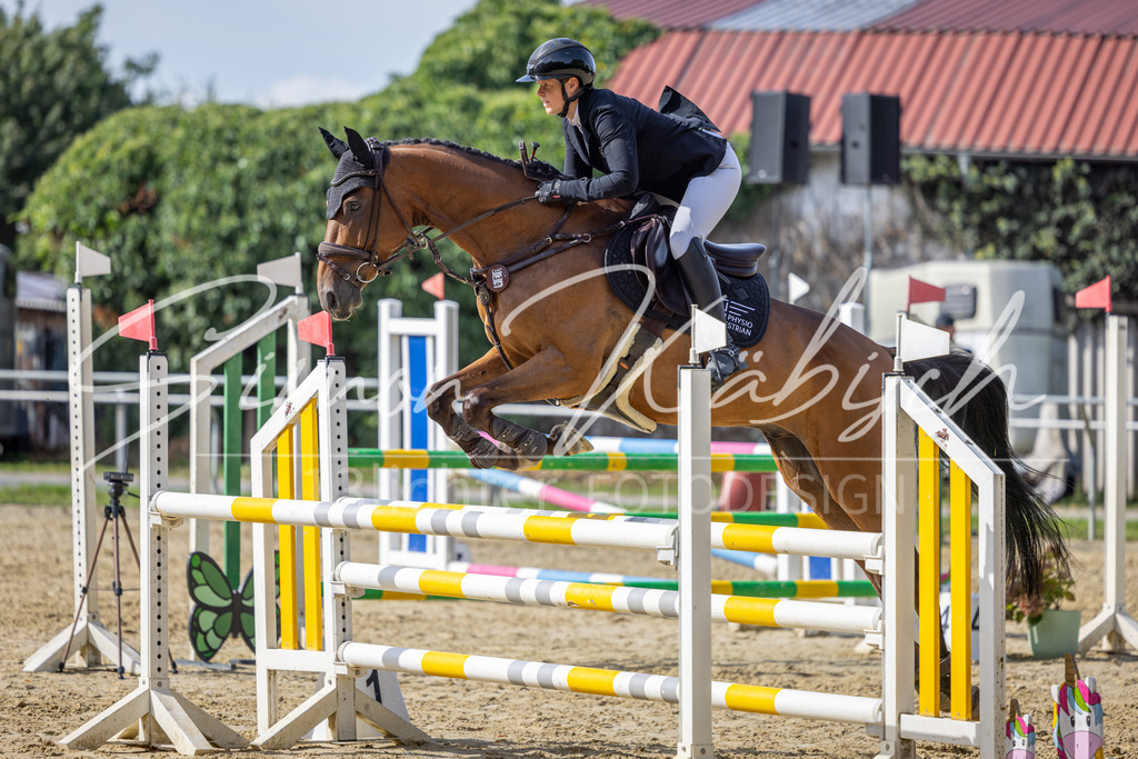 20260905-_3LI7431 | Tierfotografie Pferde, Hunde, Katzen, Haustiere.
Turnierfotografie Reitturniere, Reiten, Springreiten, Dressur in Hanau, dem Main-Kinzig-Kreis und dem Rhein-Main- Gebiet um Frankfurt