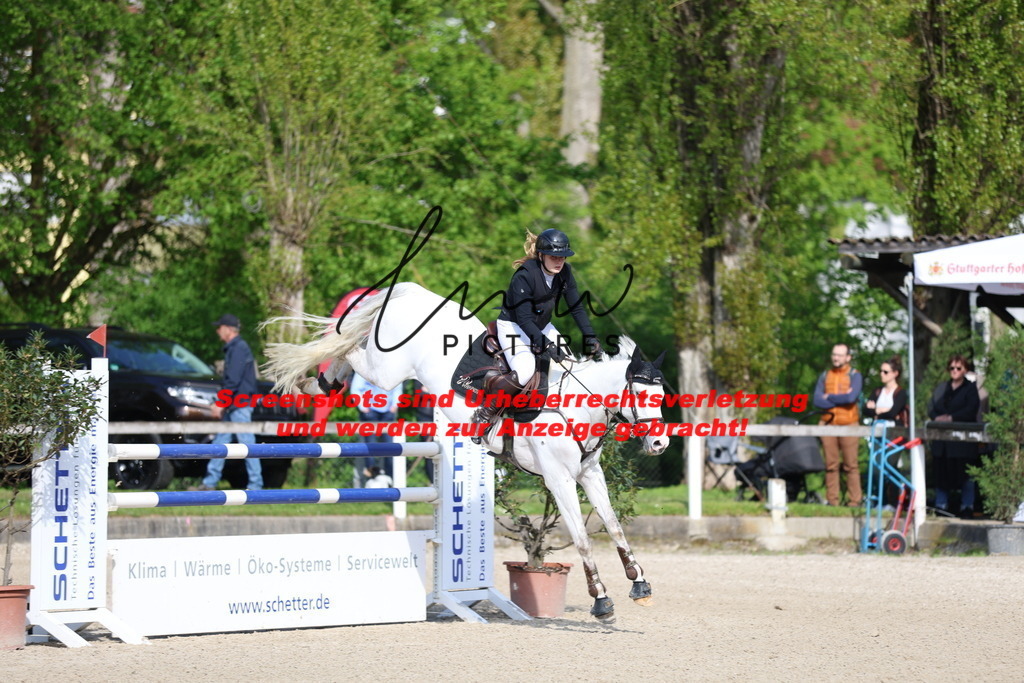 A40A2695 | lmwpictures - Realisiert mit Pictrs.com