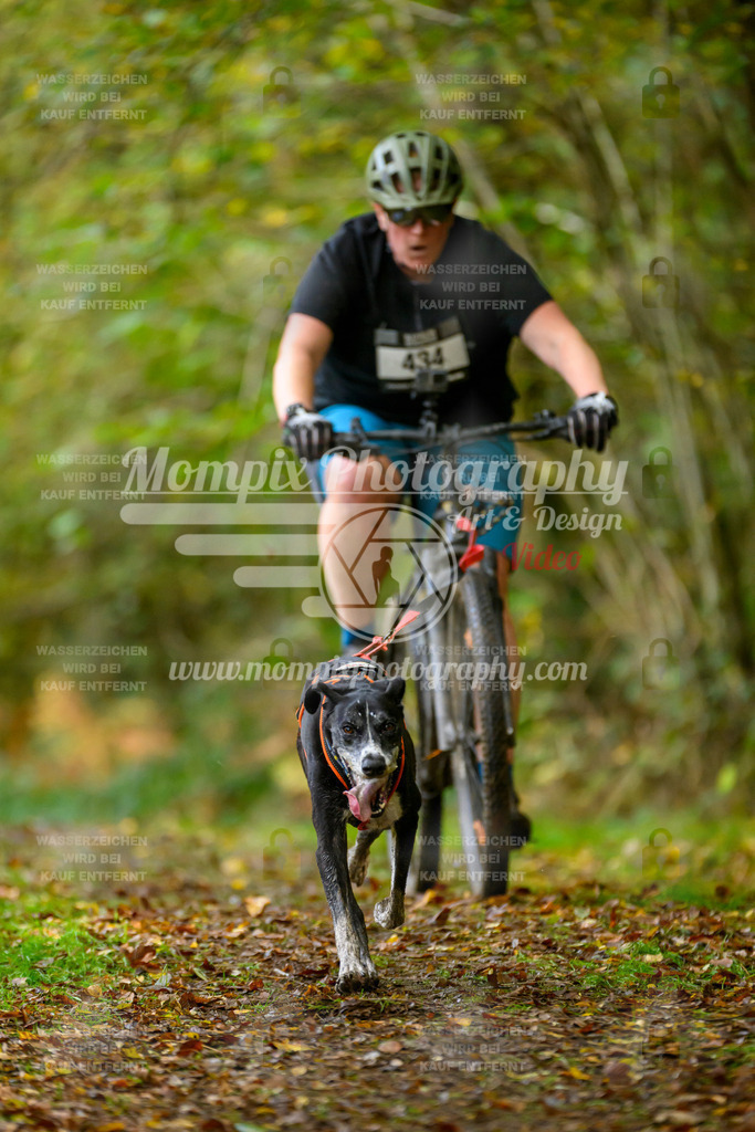 MompixPhotography_20TSB_E1_Bike-27 | PayLife