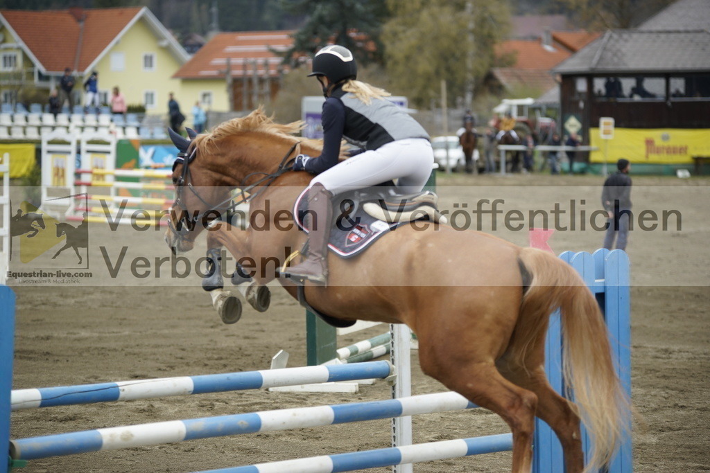 _DSC7336 | equestrian-live-com