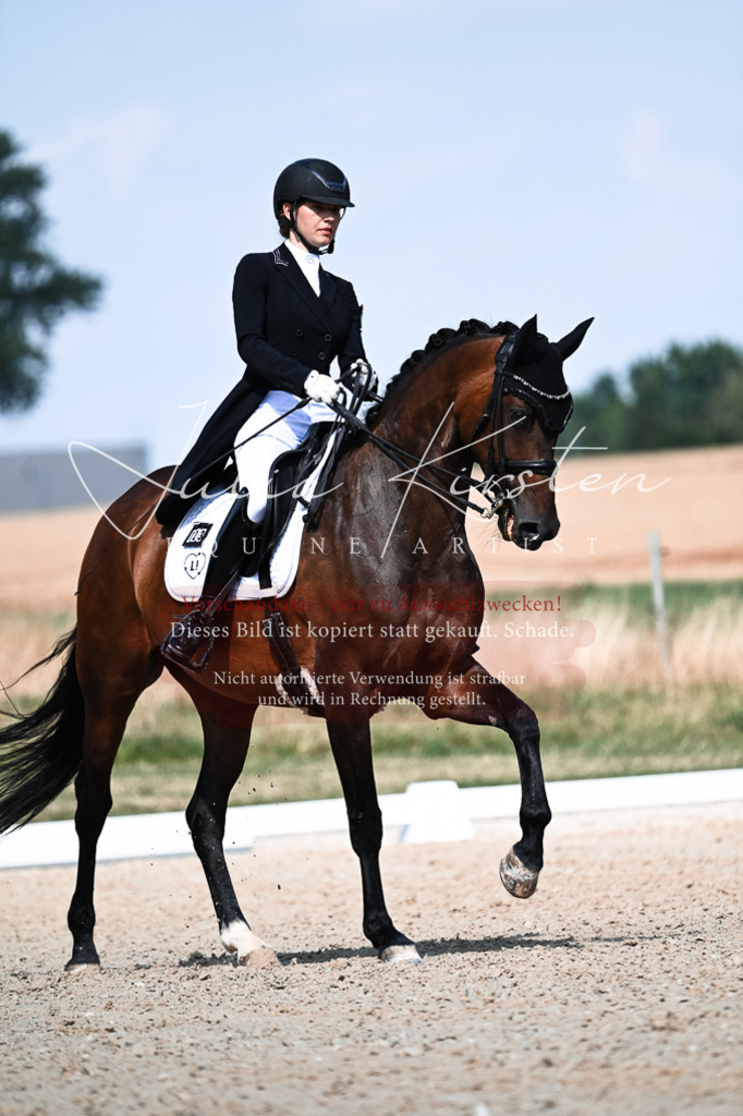 DSC_3087 | Pferde- und Turnierfotografie in Westsachsen. Pferdeportraits, Auftragszeichnungen und intuitive Kunst.