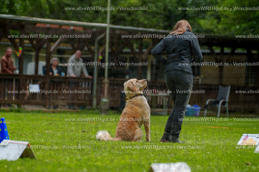 @allesWIRTHgut_Tierfotografie - www.allesWIRTHgut.de - 7R501592 | Professionelle Tierfotografie in Mönchengladbach von Daniel Wirth (allesWIRTHgut). Liebevolle & natürliche Bilder von Hunden & Katzen für unvergessliche Erinnerungen.