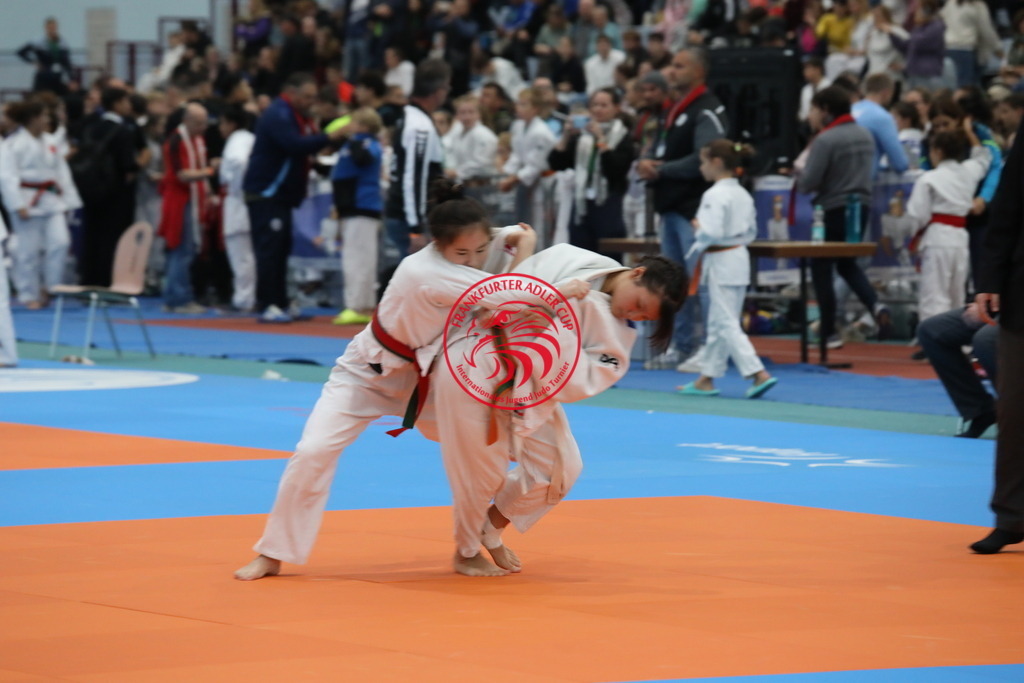 1J7A1539 | Fotos vom Adler Cup - Pictures from Adler Cup

Hier findet Ihr alle Eindrücke und großen Momente der Adler Cup Wochenenden. Here you will find all impressions and great moments of the Adler Cup weekends. - Realisiert mit Pictrs.com