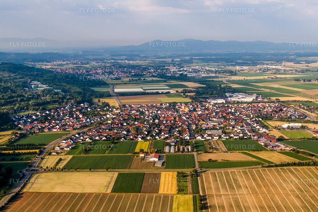 Luftbild: Ortsansicht der Straßen und Häuser der Wohngebiete in Ringsheim im Bundesland Baden-Württemberg in Deutschland. Foto: IMG_68132.jpg vom 19.06.2014 durch Werner Riehm/FLY-FOTO.de