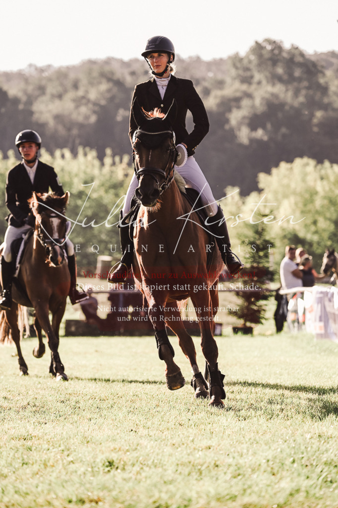 DSC_4576 | Pferde- und Turnierfotografie in Westsachsen. Pferdeportraits, Auftragszeichnungen und intuitive Kunst.