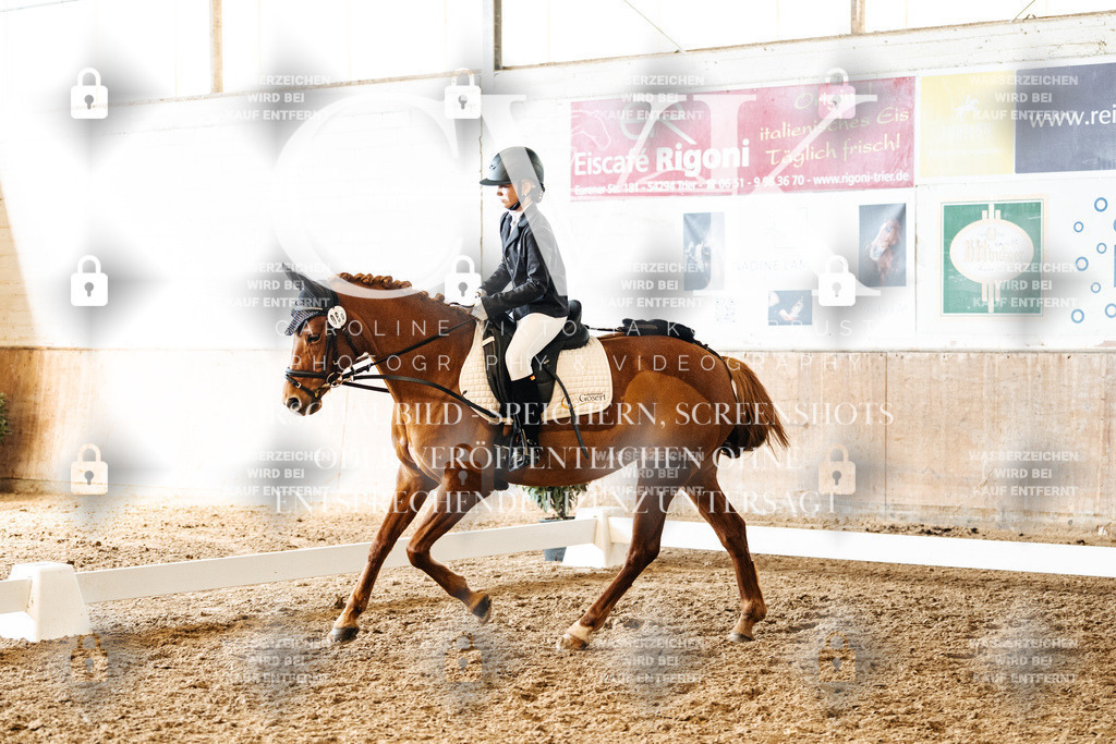 CK900058 | Turnierfotografie Pferdefotografie Trier Rheinland-Pfalz Pferdesport Reitsport Tierfotografie Sportfotografie Pferdevideo Pferdevideografie Equestrianvideography equestrianphotography  - Realized with Pictrs.com