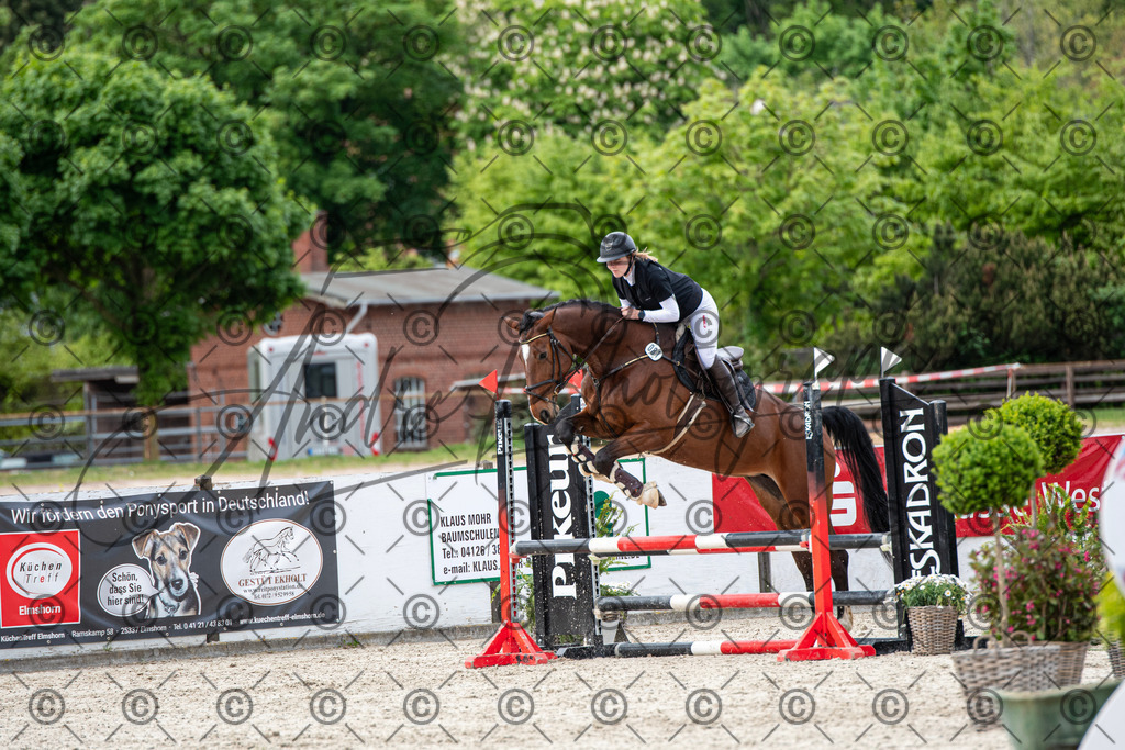 KPT_7013 | andre_photographic