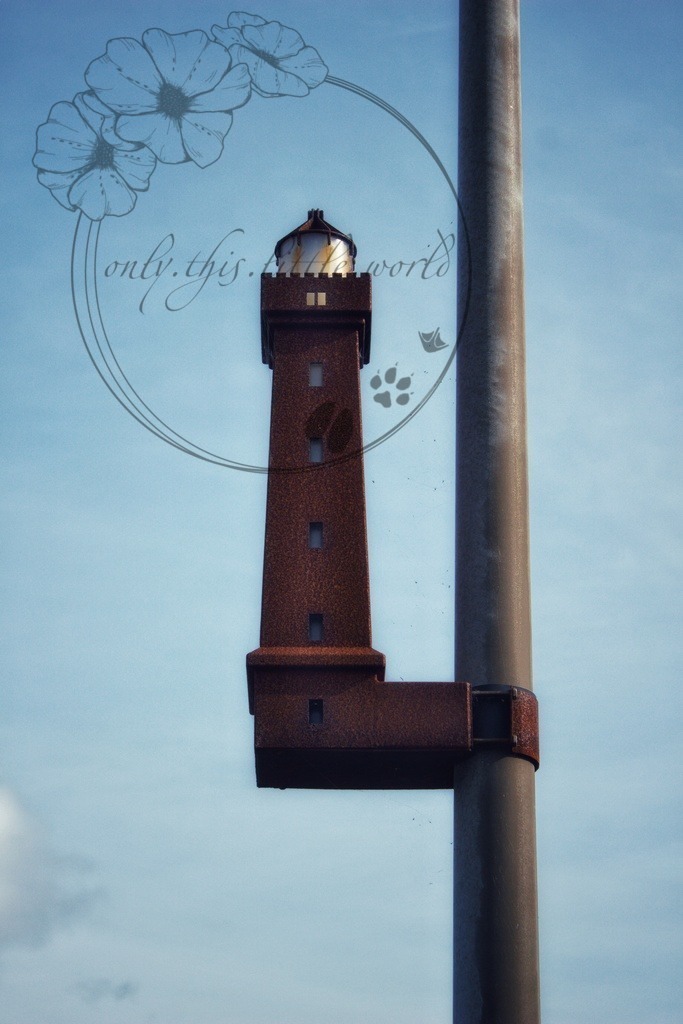 IMG_8239-01 | only.this.little.world - Realisiert mit Pictrs.com