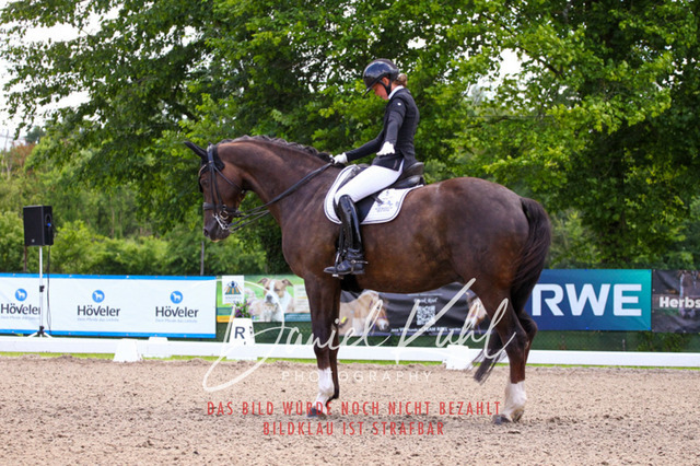 DKP40965 | Turnierfotos kaufen im Webshop von Daniel Kuhl Photography – entdecke professionelle Reitsportfotos aus Turnieren & Events. Hochwertige Turnierbilder online bestellen & sichern. Jetzt Fotos von Reitsportturnieren kaufen!