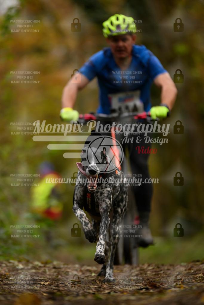 MompixPhotography_Bischwiller24_SA_VTT-28 | PayLife