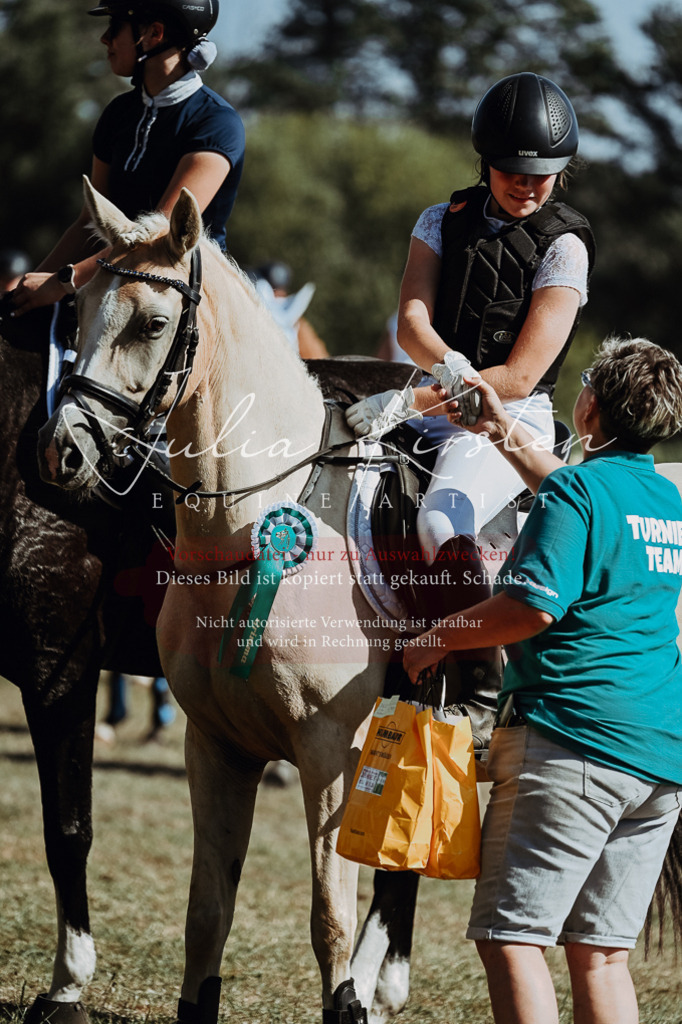 DSC_0094 | Pferde- und Turnierfotografie in Westsachsen. Pferdeportraits, Auftragszeichnungen und intuitive Kunst.