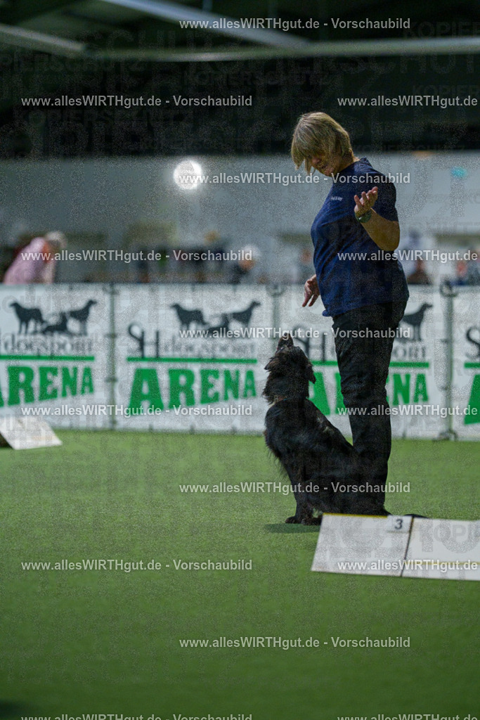 7R509955 | Professionelle Tierfotografie in Mönchengladbach von Daniel Wirth (allesWIRTHgut). Liebevolle & natürliche Bilder von Hunden & Katzen für unvergessliche Erinnerungen.