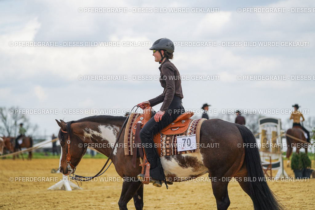 DSC06810 | Pferdegrafie