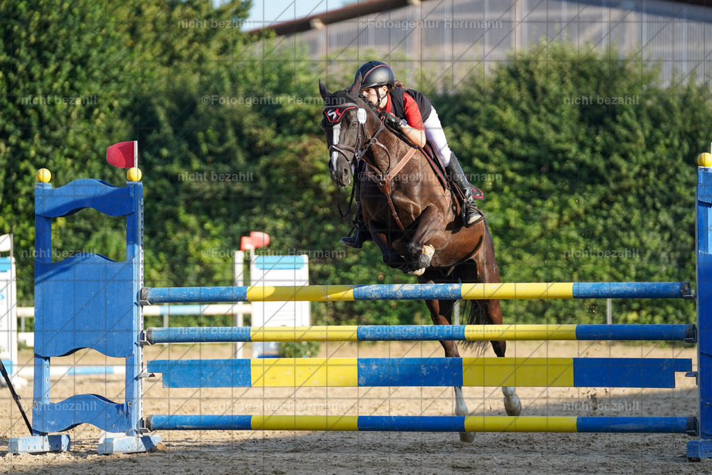 20240824-FAH08771 | Thierhaupten 2024, Bayerisches Landesponyturnier, Turnierbilder, Ponybilder, Turnierfotografen Bayern, Fotoagentur Herrmann