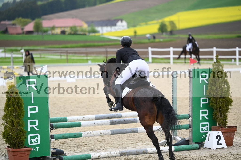 DSC_0071 | equestrian-live-com