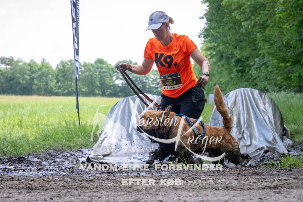 1145_ZZ94415 | kk-dogfotos