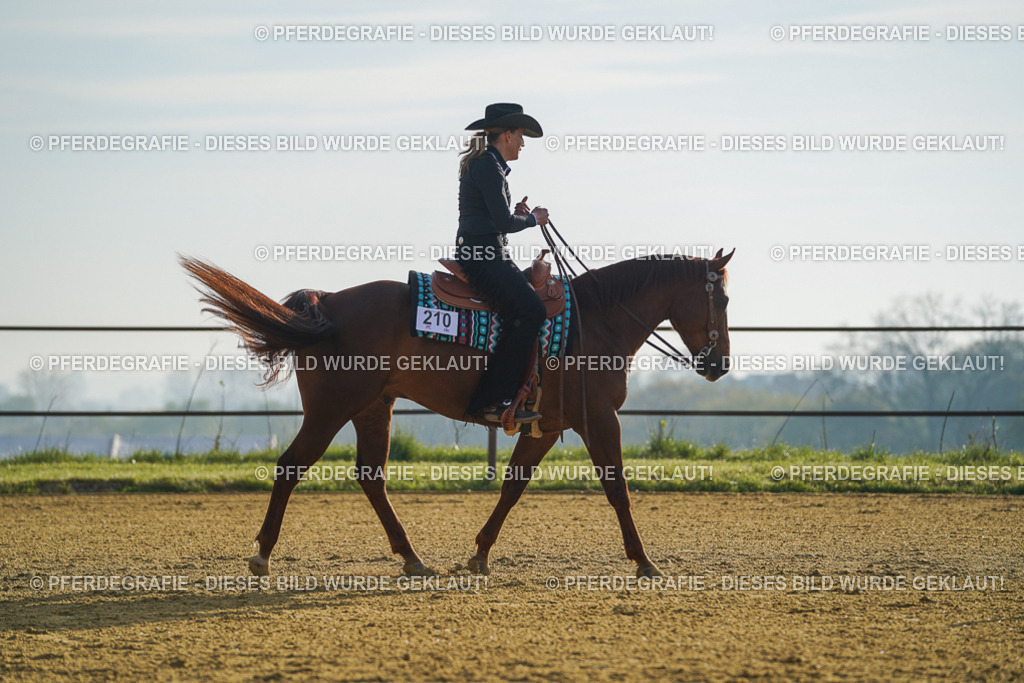 DSC00133 | Pferdegrafie