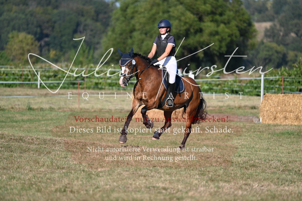 DSC_9106 | Pferde- und Turnierfotografie in Westsachsen. Pferdeportraits, Auftragszeichnungen und intuitive Kunst.