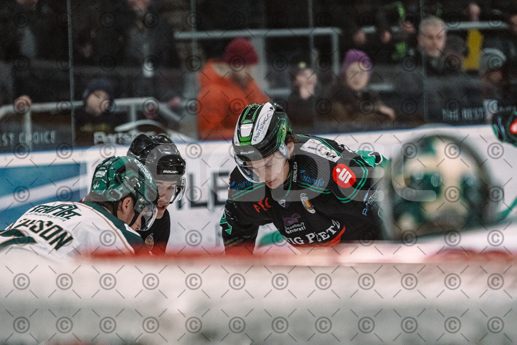 Alligators_vs_Erding_01_02_2026-45 | Höchstadt Alligators Fotogalerie: Eishockey-Action aus Franken. Professionelle Spielfotos, Portraits & Stadionbilder zum Download. Jetzt entdecken! - Realized with Pictrs.com