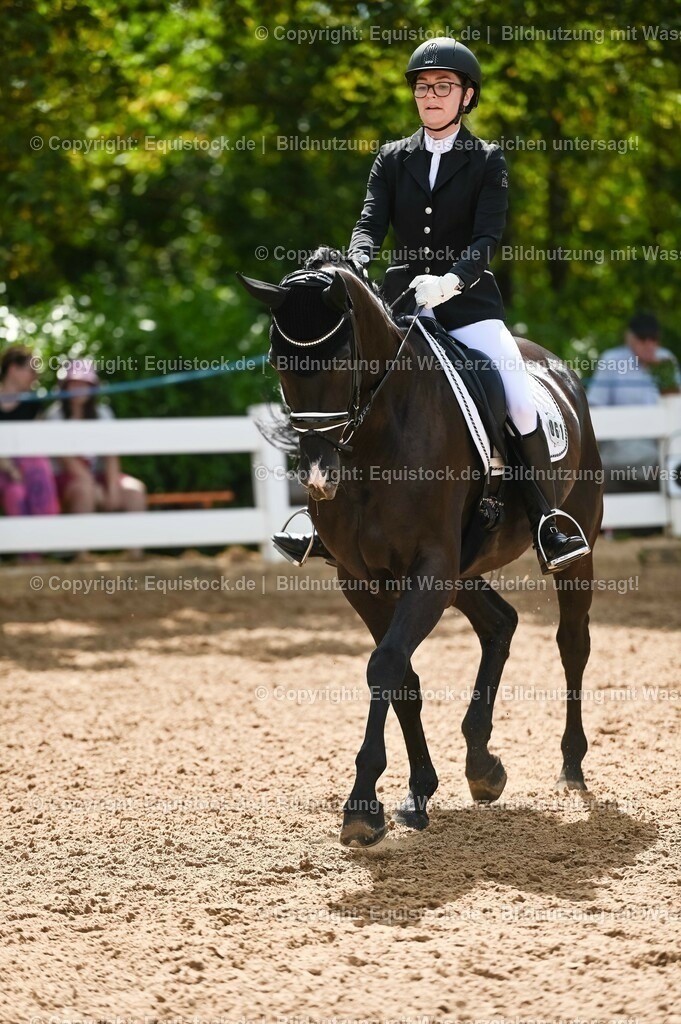 20230715_07_Dressurpferdeprfg. Kl.L_0175 | equistock