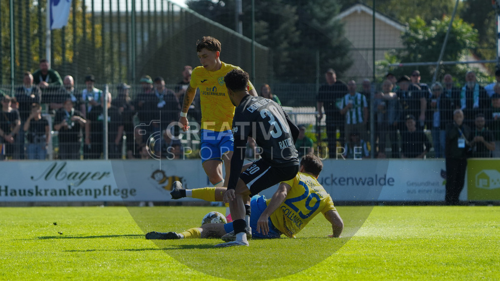 Fußball, Herren, Saison 2025/2026, Regionalliga Nordost, 10. Spieltag, FSV 63 Luckenwalde vs. BSG Chemie Leipzig, Samstag 27.09.2025, Werner-Seelenbinder-Stadion Luckenwalde, | Fußball, Herren, Saison 2025/2026, Regionalliga Nordost, 10. Spieltag, FSV 63 Luckenwalde vs. BSG Chemie Leipzig, Samstag 27.09.2025, Werner-Seelenbinder-Stadion Luckenwalde, Im Bild: v.l. Tim Schleinitz (Luckenwalde), Stanley Ratifo (Chemie) und Simon Gollnack (Luckenwalde) - Realisiert mit Pictrs.com