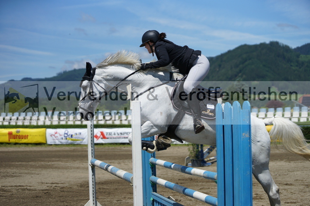 DSC06053 | equestrian-live-com