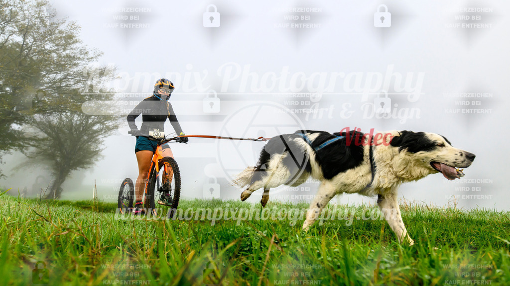 MompixPhotography_20TSB_E5_DS1-49 | PayLife