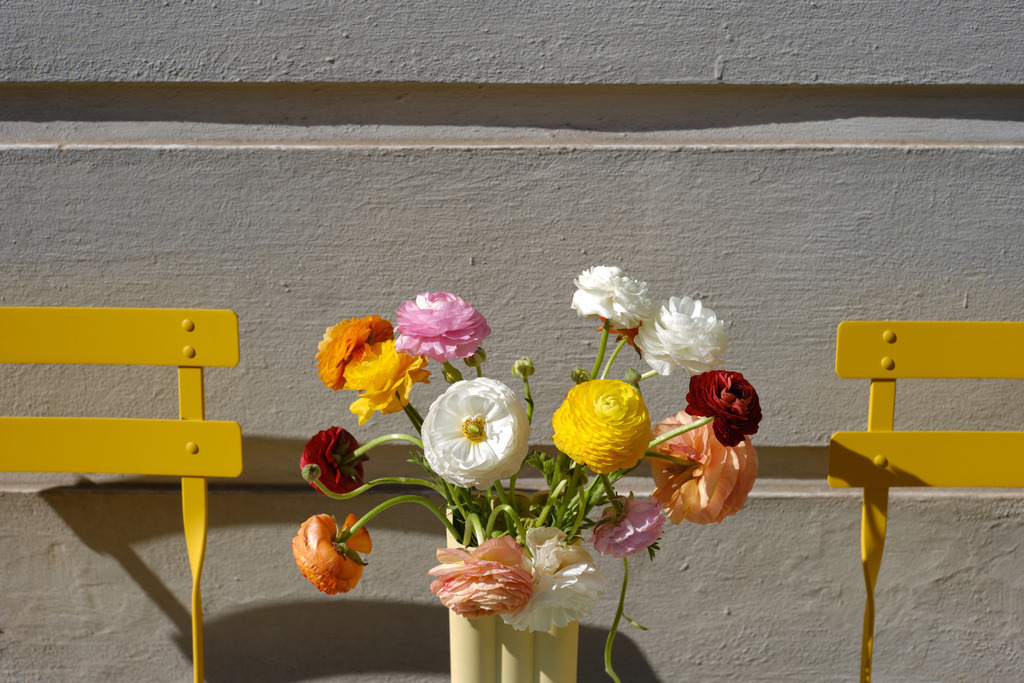 Ein bunter Blumenstrauss zwischen zwei gelben Stühlen | Linz, Austria - April 03, 2025: Ein bunter Blumenstrauss zwischen zwei gelben Stühlen. - Realisiert mit Pictrs.com