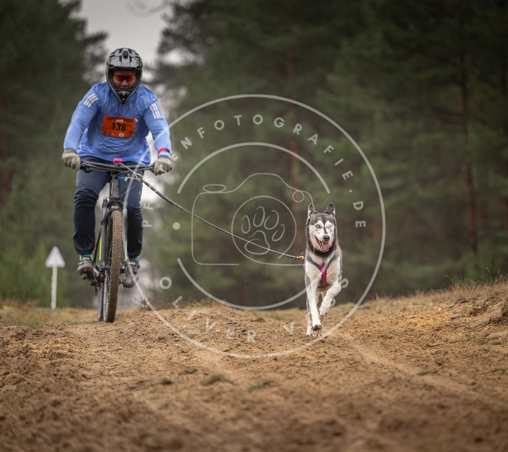 Pfotenfotografie_DV3A3876 | Hundefotografie, Tierfotograf, Pfotenfotografie, Fotoshooting Hund, Hunde Portrait, Hundesport, Hundeportraits, Heideshooting, Hunde, Sportfotograf, Hundefotograf, Turnierhundsport, THS,  - Realisiert mit Pictrs.com