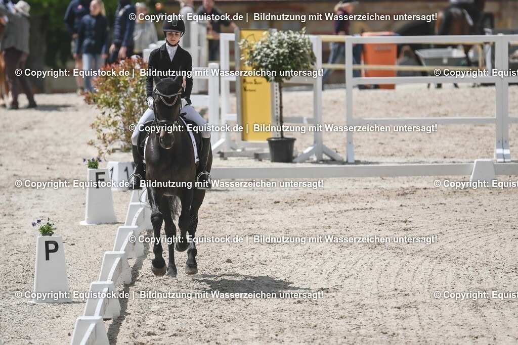 20250516_CCI2_Dressur_0188 | Foto: Thomas Hartig