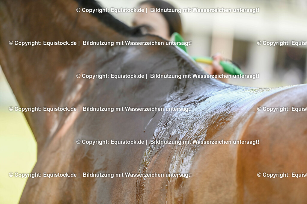 20230527_27_CCI4_Gelände_0296 | equistock