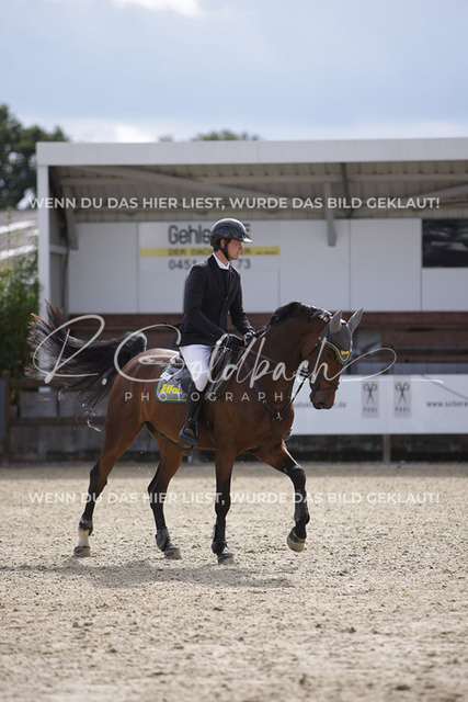 1J2A2352Philipp Battermann-Voss_ Claus 83_ Kn237_ Havekost | Foto- und Videografie für alles rund ums Pferd. Hochwertige Bilder und Videos vom Spring- und Dressurreiten, Voltigieren & mehr. Jetzt aktuelle Veranstaltungen und Preise im Shop ansehen. - Realisiert mit Pictrs.com