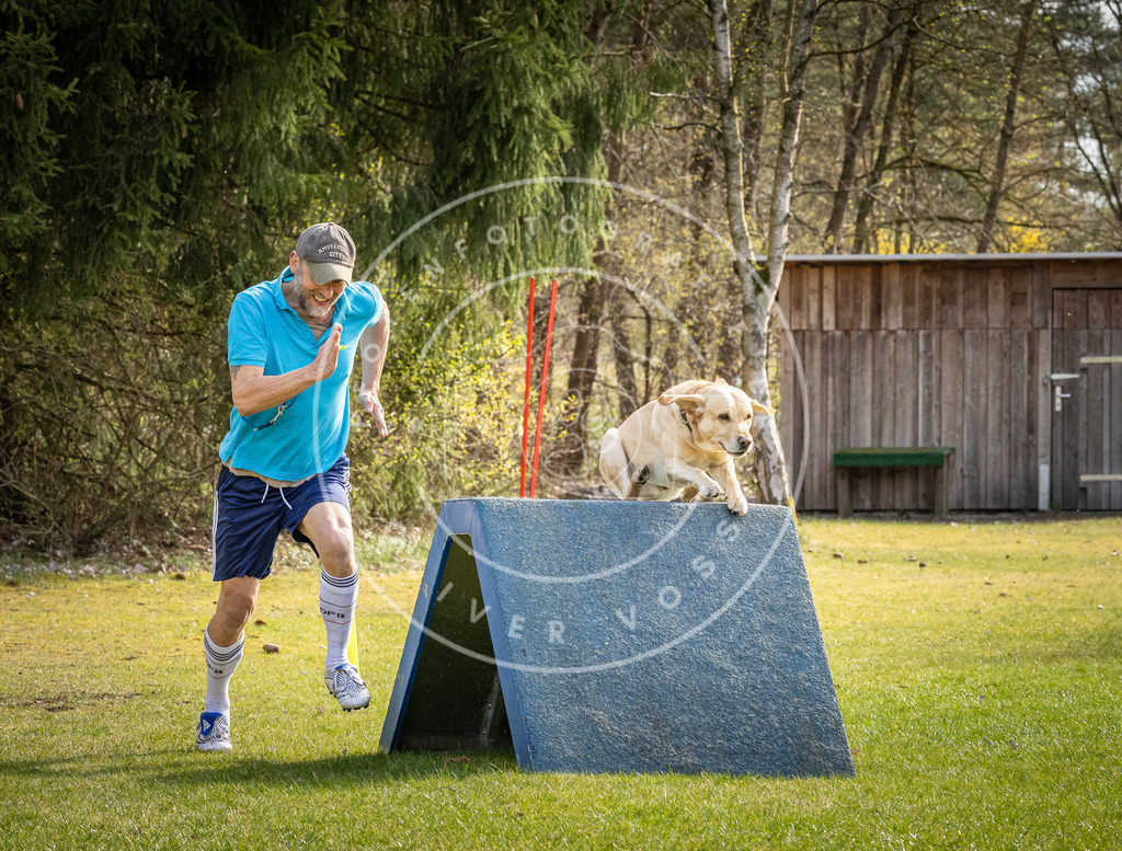 Pfotenfotografie_DV3A3800 | Hundefotografie, Tierfotograf, Pfotenfotografie, Fotoshooting Hund, Hunde Portrait, Hundesport, Hundeportraits, Heideshooting, Hunde, Sportfotograf, Hundefotograf, Turnierhundsport, THS,  - Realisiert mit Pictrs.com