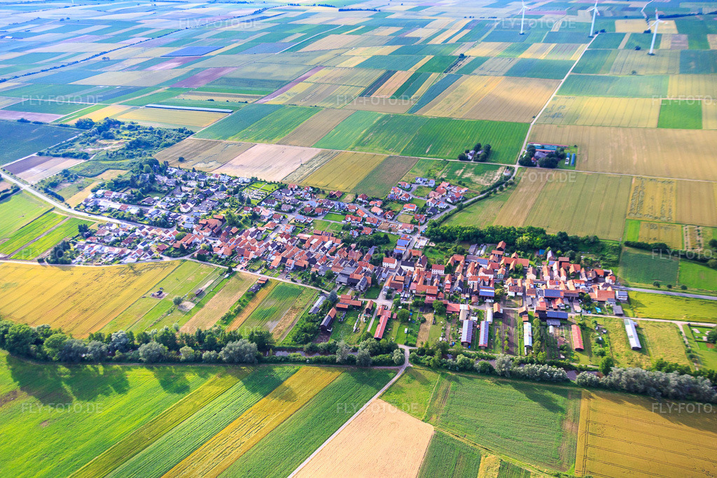 Luftbild: Dorfübersicht aus Süden in Herxheimweyher im Bundesland Rheinland-Pfalz in Deutschland. Foto: IMG_090041.jpg vom 26.06.2016 durch Werner Riehm/FLY-FOTO.de