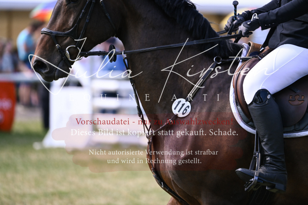 DSC_0517 | Pferde- und Turnierfotografie in Westsachsen. Pferdeportraits, Auftragszeichnungen und intuitive Kunst.