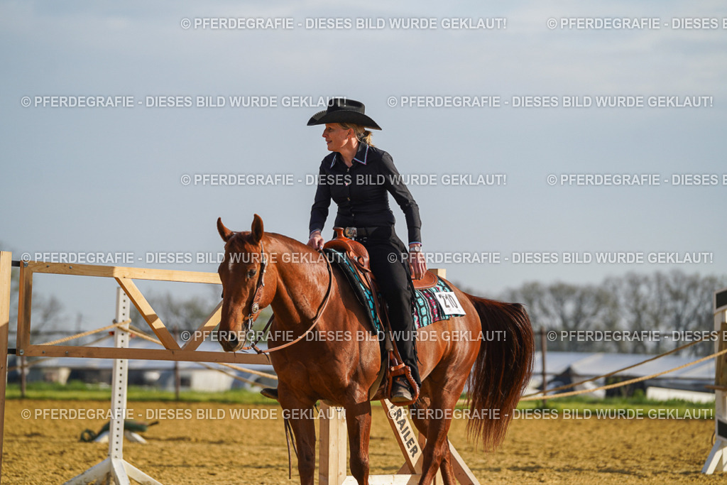 DSC00169 | Pferdegrafie