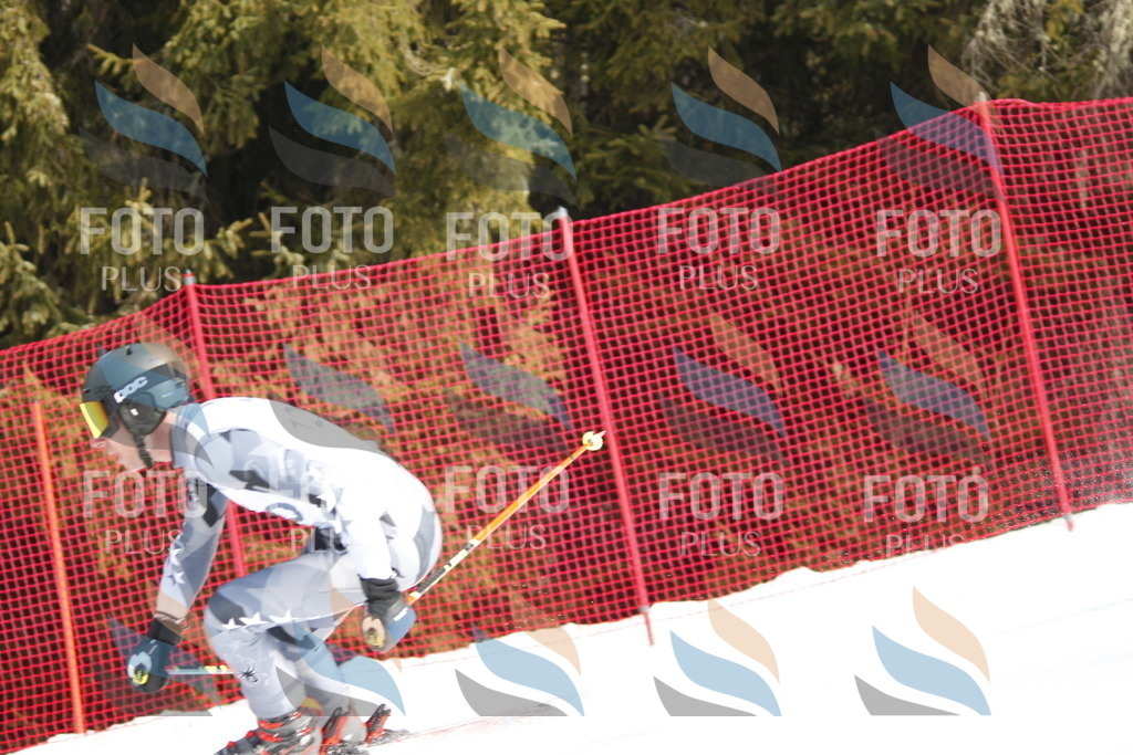 D6667 | holidayphoto