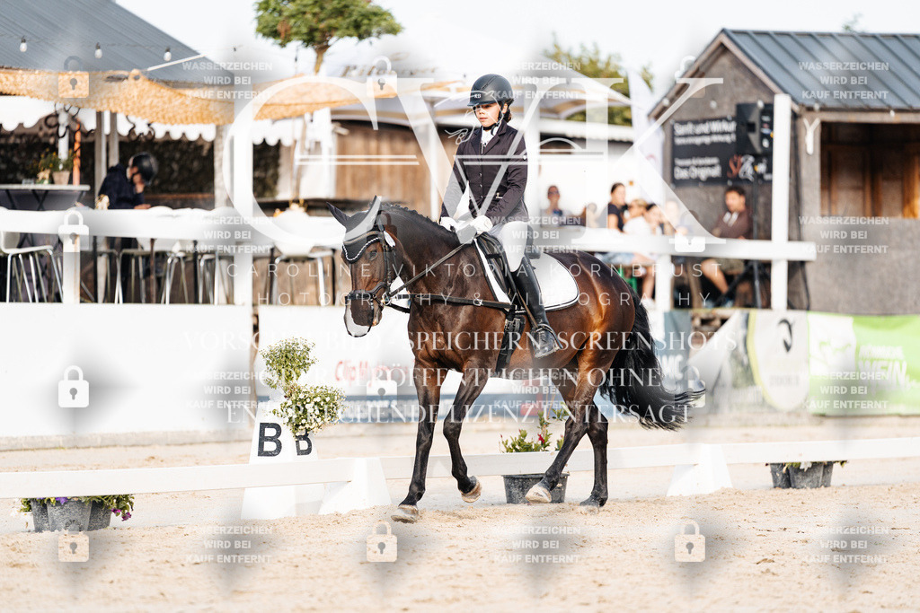 CK904577 | Turnierfotografie Pferdefotografie Trier Rheinland-Pfalz Pferdesport Reitsport Tierfotografie Sportfotografie Pferdevideo Pferdevideografie Equestrianvideography equestrianphotography  - Realisiert mit Pictrs.com
