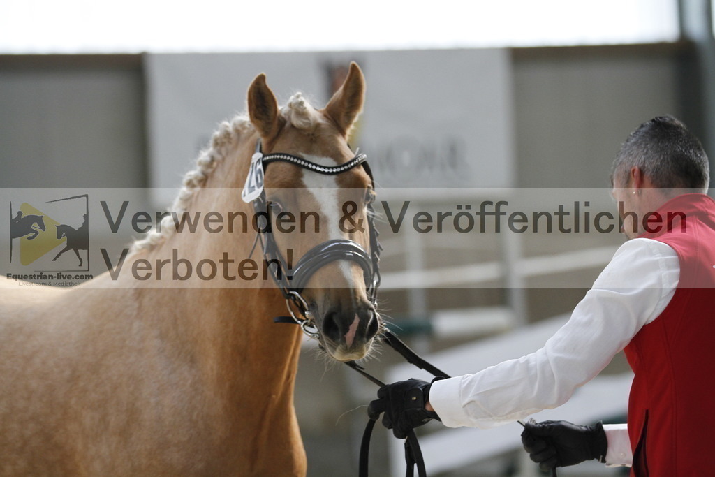 _MG_9730 | equestrian-live-com