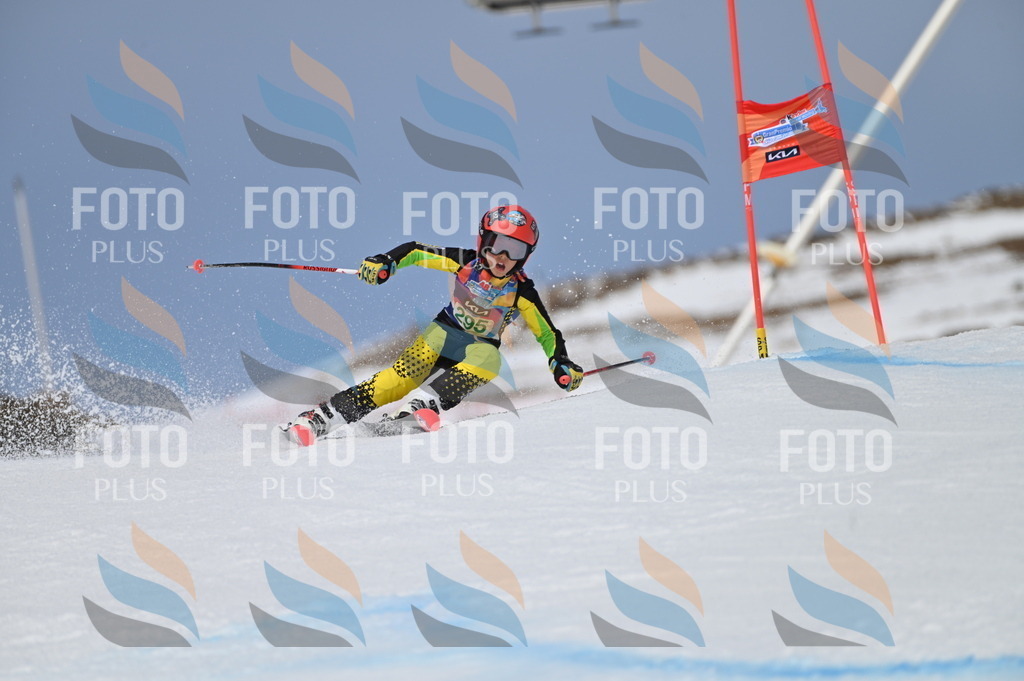 BGV_5880 | holidayphoto