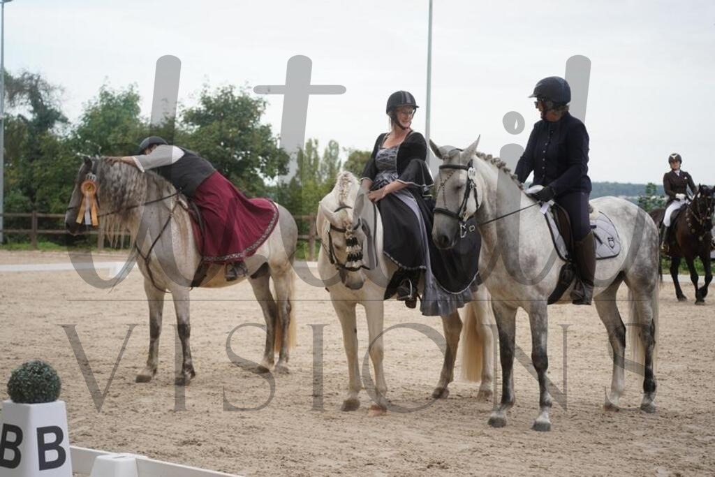 tgbhsamstag (204) | d.tail Visions - Shop - Realisiert mit Pictrs.com