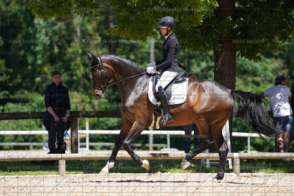 20240705-FAH03715 | Turnierbilder von Grafing, Reitsportbilder, Turnierfotos, Turnierfotografen Bayern, Pferdefotograf, Fotoagentur Herrmann